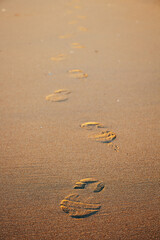 Footprints in the Sand on a Sunny Beach