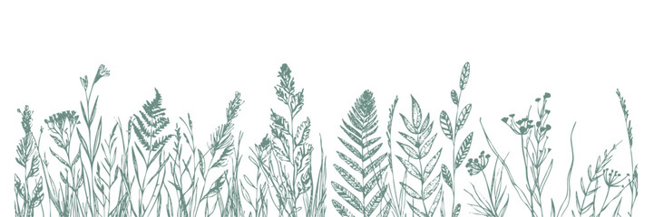 Teal Botanical Meadow &ndash; Modern teal botanical meadow with grasses and ferns in minimal vector line art style.
