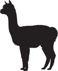 Naklejka premium Silhouette of a graceful alpaca standing profile on a farm animal