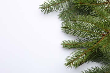 Naklejka premium Christmas tree branches on white background, flat lay. Space for text