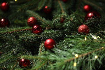 Beautiful spruce tree branches with Christmas ornaments as background, closeup