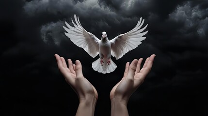 White dove flying from open hands against dark stormy sky