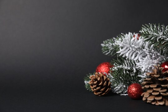 Beautiful Christmas tree branches with cones and ornaments on black background, closeup. Space for text