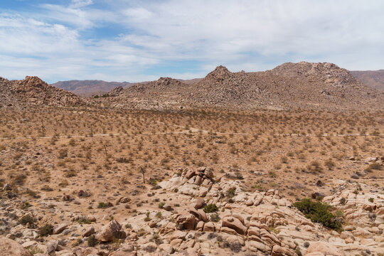 Joshua Tree National Park, rocky desert mountain landscape. Copy space.