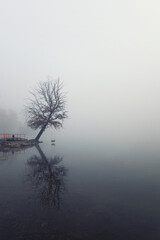 Fototapeta premium Misty Morning Reflection on the Lake, Poland