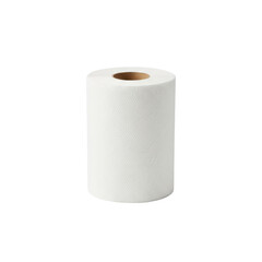 Fototapeta premium Essential Hygiene, Clean White Paper Towel Roll Isolated on a Seamless Background
