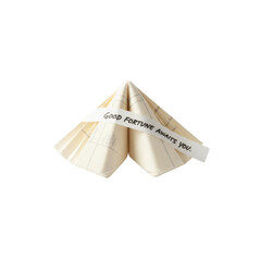 Fototapeta premium Isolated Fortune Cookie with Optimistic Message on Paper Strip on Plain Studio Setup