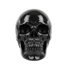 Monochrome Elegance, A Studio Shot of a Polished Skull Against a Seamless Void Canvas