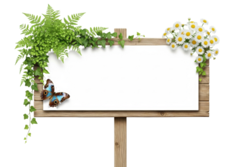 Rustic weathered wooden signpost with blank white board, green ferns, ivy, white daisies, and iridescent blue butterfly, on a bright white background, concept of natural custom messaging