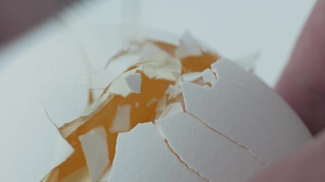Egg cracking and revealing its contents inside