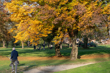 Lombardy, Italy October 9th 2025 Elderly gentleman strolling through a colorful park, pushing a stroller with a baby on an autumn afternoon, surrounded by trees showcasing their vibrant fall colors