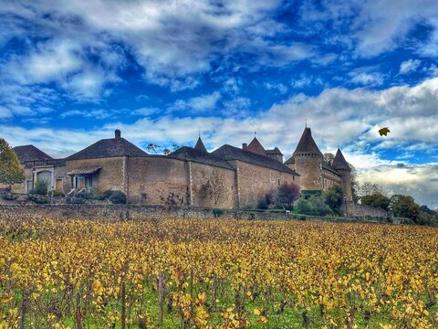  Vignoble bourguignon de Rully en automne 