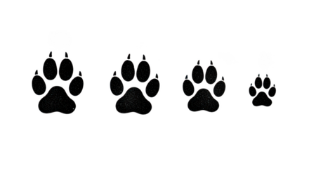 Four black paw prints in a row isolated on transparent background