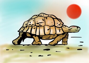 turtle on the background of the red sun. 