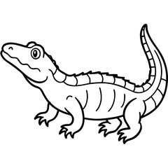 Clean Dwarf Crocodile Line Art Animal Vector Isolated on White