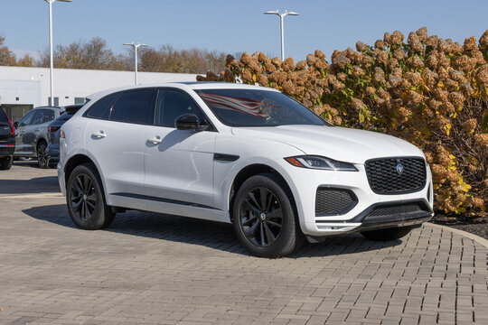 Jaguar F-Pace P250 R Dynamic S luxury SUV display. Jaguar offers the F-Pace P250 with a 2.0L Turbo 4-Cylinder engine. MY:2026