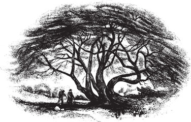 Wych Elm tree. Artistic Tree Branch with Blossoms