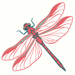 Illustration of a red dragonfly with translucent wings © riya