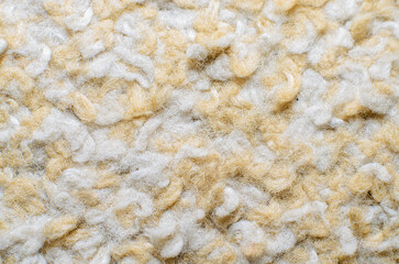 Close-up of textured beige and white carpet, showing fibers and patterns