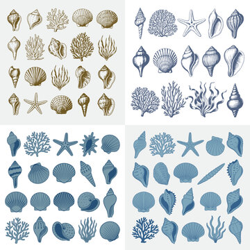 Sea shells vector collection vintage floral pattern illustration ornament design set decor elements
