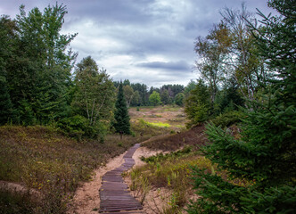 Exploring the scenic trail near Cave Point surrounded by lush greenery and tranquil landscapes in late afternoon light