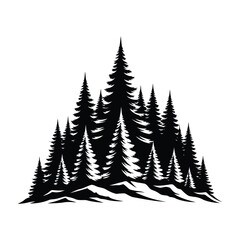 Silhouette of a dense forest of pine trees