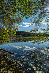 Jezioro Zielonka w Puszcza Zielonka w Wielkopolsce. 