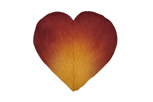 Rose petal forming a heart shape on transparent background - Powered by Adobe