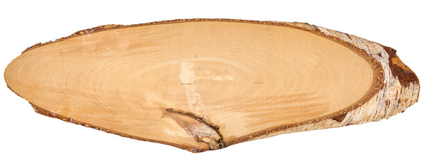 An oval cross-section of a birch log with bark and visible annual rings on a white background.