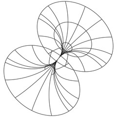 Vector illustration of an orange flower