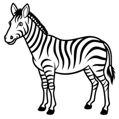 Clean Zebra Vector 