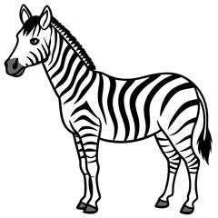 Clean Zebra Vector 