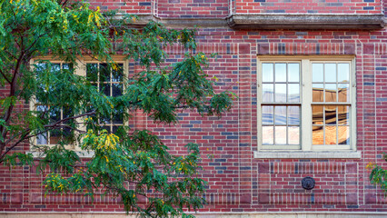 Multicolored brick residential building with cream window frames and early autumn foliage in Brookline, Massachusetts, USA