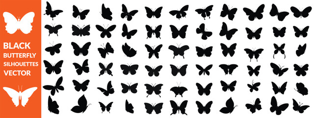 Black butterfly silhouettes. Outline butterflies romantic tattoo, tropical insects stencil. Summer and spring exotic symbols isolated vector set. Elegant wild flying moth of various shapes , big set 