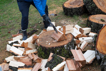 firewood in the garden