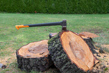 axe in log
