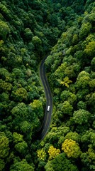 Beautiful view of the road from above from a drone