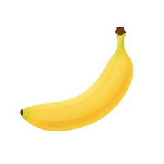 Fresh Banana Vector Illustration Isolated on White Background