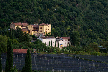 Fototapety na wymiar - Fototapeta24.pl