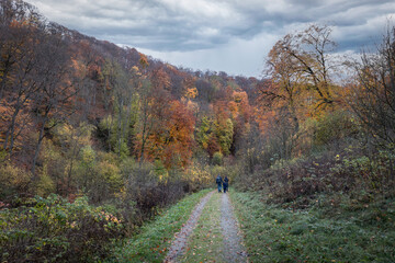 The Mühlental valley with the Alme springs in autumn. The Alme springs are also one of the strongest and cleanest water sources in Germany, located on the Brilon plateau.