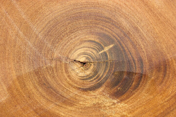 Naklejka premium brown wooden texture