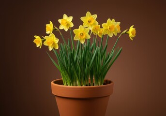 A vibrant terracotta pot filled with bright yellow daffodils blooming beautifully, symbolizing the arrival of spring and new growth, petal, green, easter