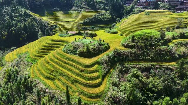 Aerial view of Longsheng Rice Terraces in the Guangxi Region, China