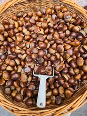 Woven Basket Full of Fresh Chestnuts with Serving Scoop 