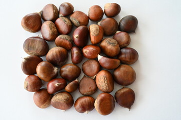 A pile of raw chestnuts displayed on a white surface in soft natural light. The smooth, glossy shells and warm brown hues emphasize the freshness and organic texture of the seasonal nuts.