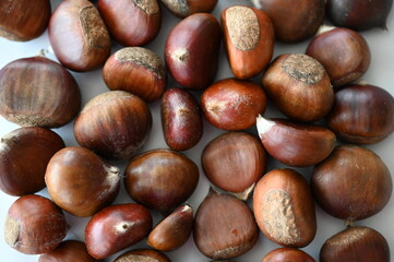 A pile of raw chestnuts displayed on a white surface in soft natural light. The smooth, glossy shells and warm brown hues emphasize the freshness and organic texture of the seasonal nuts.
