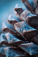 Macro pinecone scales with tiny frost crystals in bright diffused light