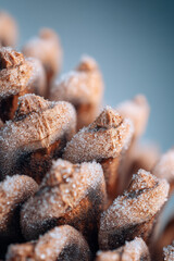Macro pinecone scales with tiny frost crystals in bright diffused light