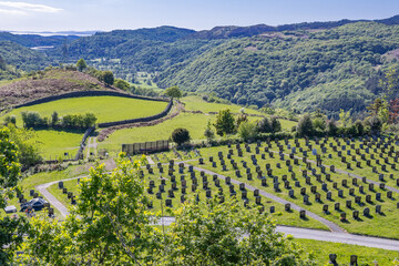 Historic headstones in a village cemetery.