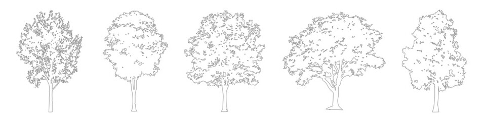 Architectural Tree Outline Collection, CAD Line Art Trees for Landscape Drawings